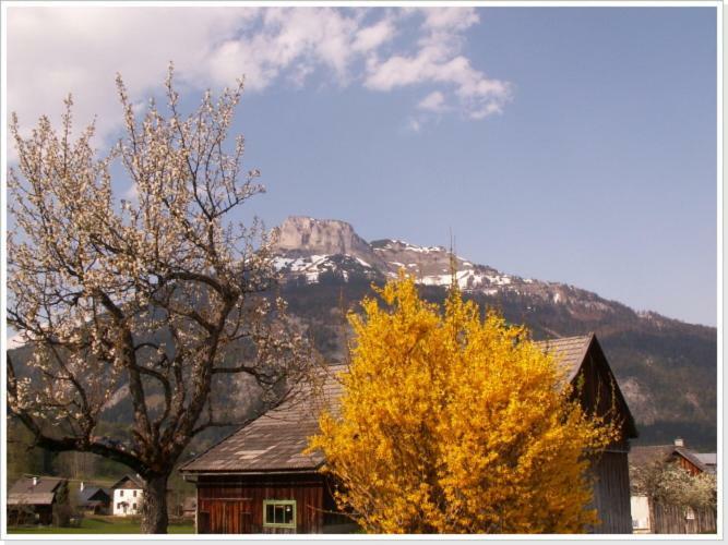 Ferienwohnung Haus Einhirn Altaussee Kültér fotó