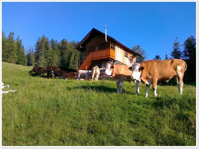 Ferienwohnung Haus Einhirn Altaussee Kültér fotó